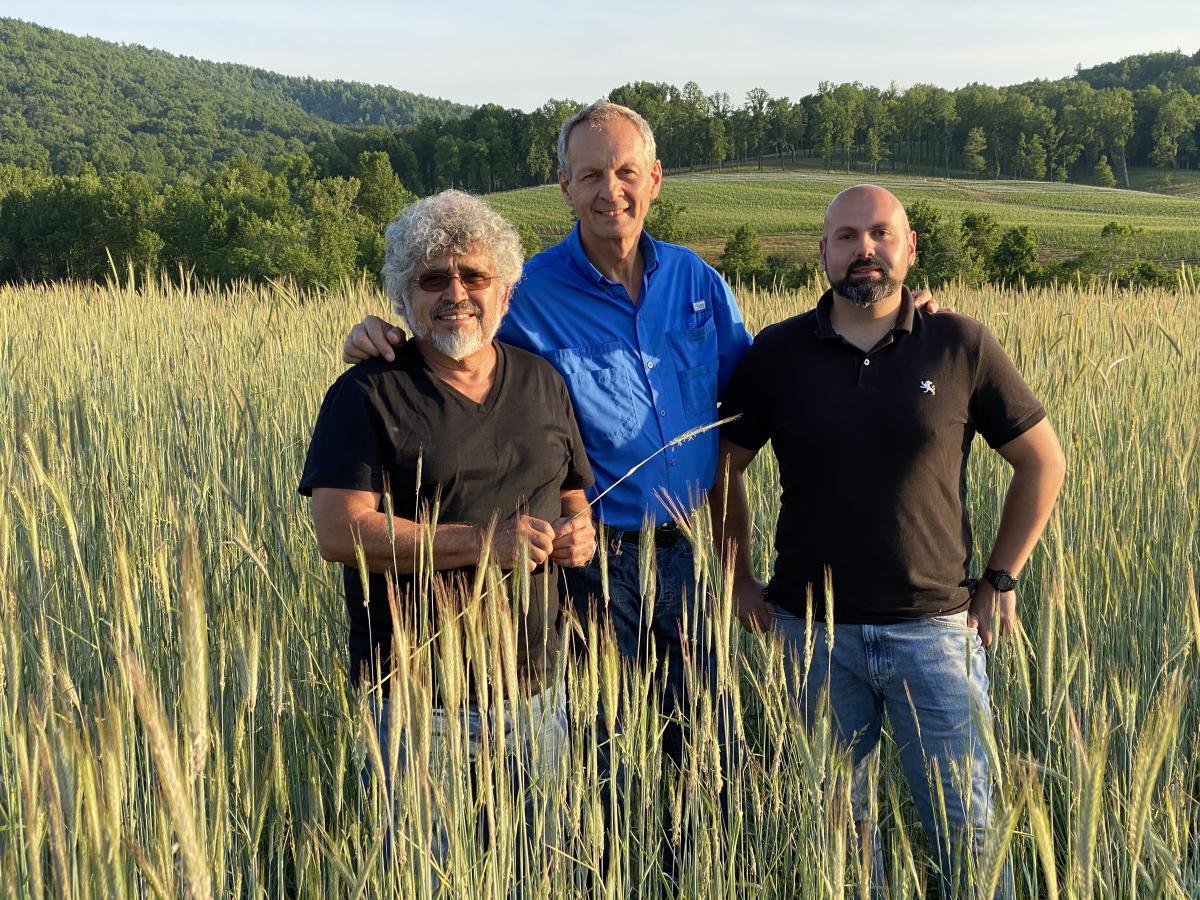 0dd40b02-61e8-f6c9-8236-fab94fec2376