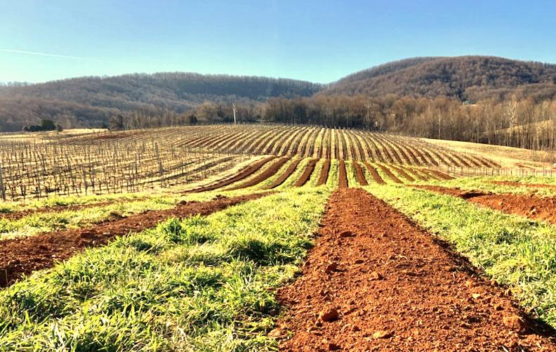 35c2c228-5cc0-6c31-3a4b-69eda06fbe30