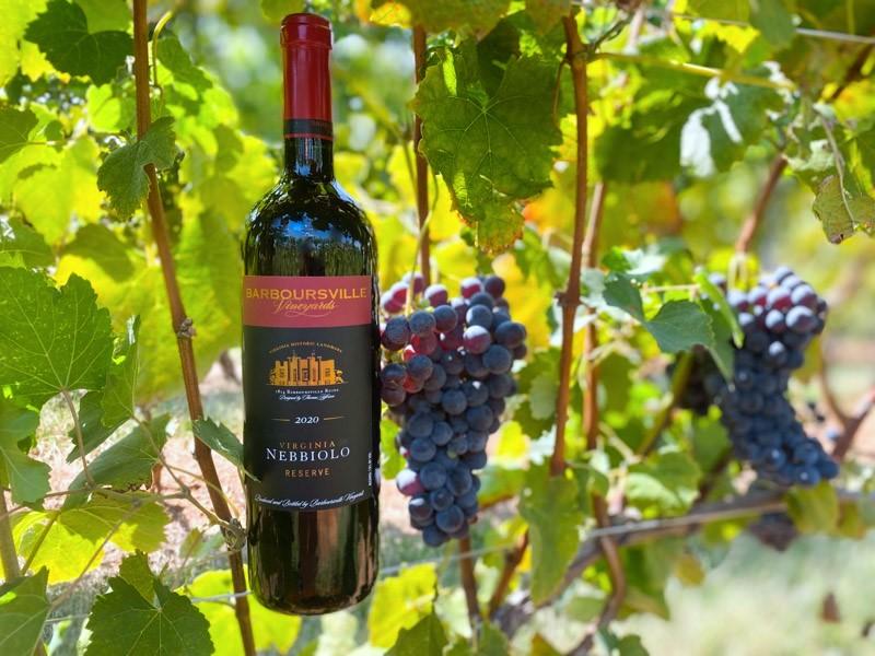 adc1787a-225b-574b-fa00-7c8642f6523d