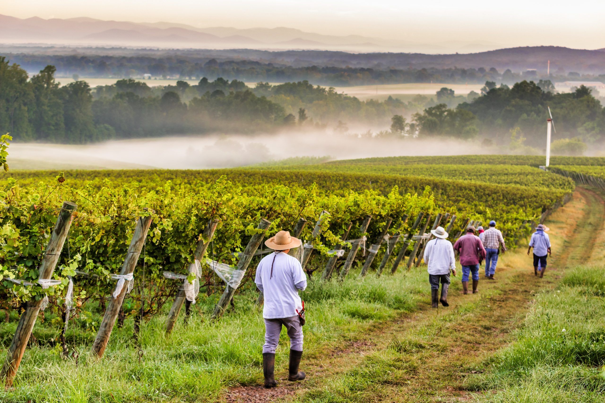 f7f8eca9-8df9-150b-00c5-ec9052c54b98